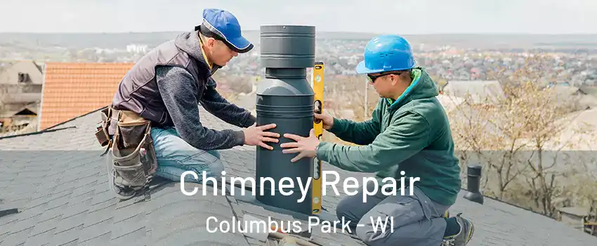 Chimney Repair Columbus Park - WI