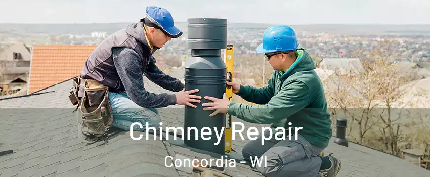 Chimney Repair Concordia - WI