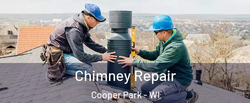 Chimney Repair Cooper Park - WI