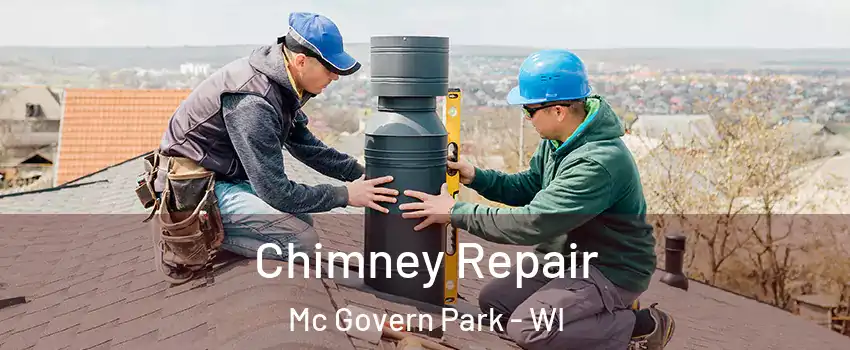 Chimney Repair Mc Govern Park - WI