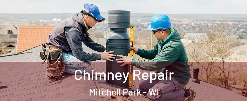 Chimney Repair Mitchell Park - WI