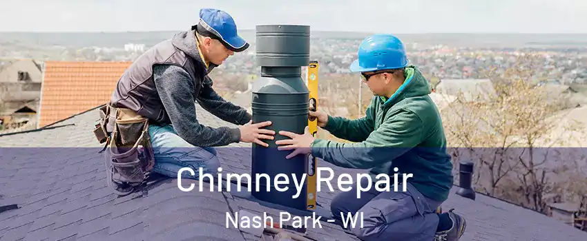 Chimney Repair Nash Park - WI