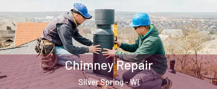 Chimney Repair Silver Spring - WI