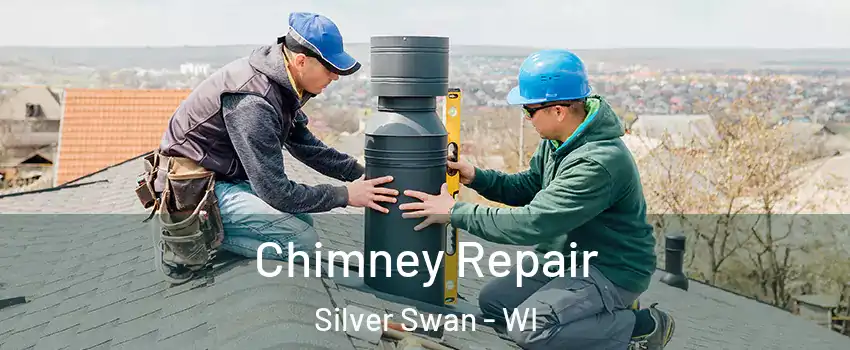 Chimney Repair Silver Swan - WI