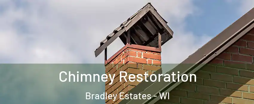 Chimney Restoration Bradley Estates - WI