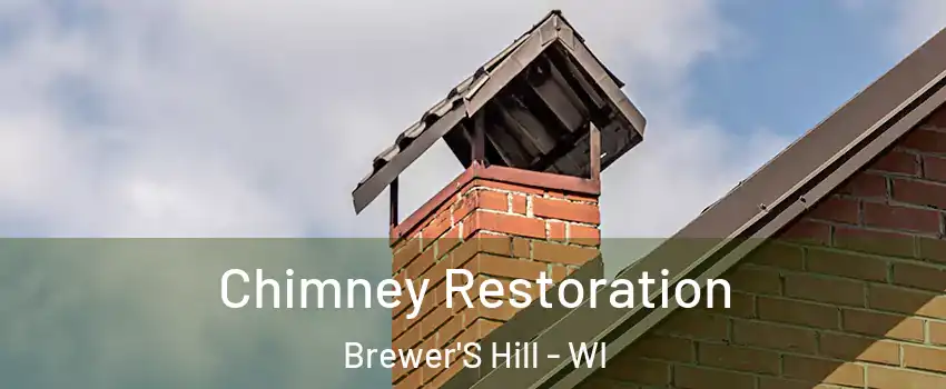 Chimney Restoration Brewer'S Hill - WI