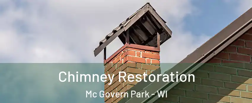 Chimney Restoration Mc Govern Park - WI