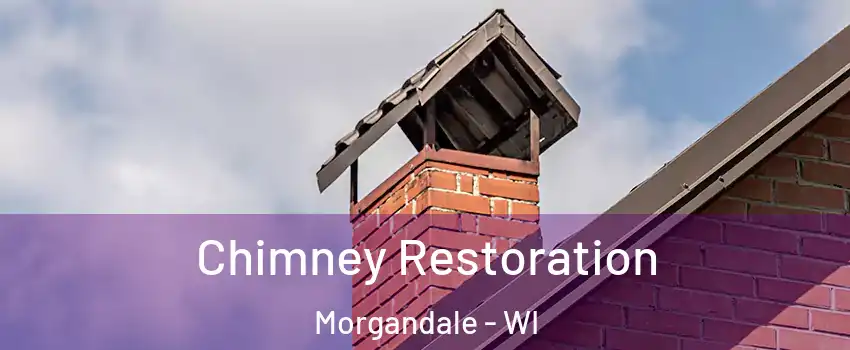 Chimney Restoration Morgandale - WI