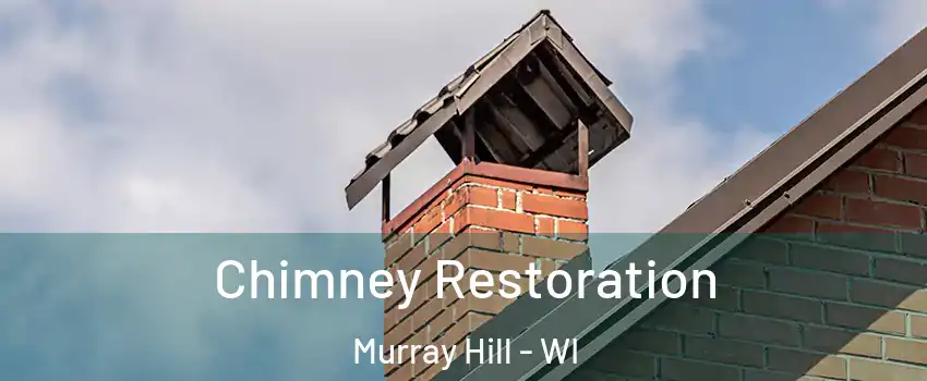 Chimney Restoration Murray Hill - WI