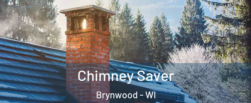 Chimney Saver Brynwood - WI