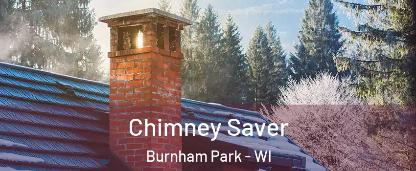 Chimney Saver Burnham Park - WI