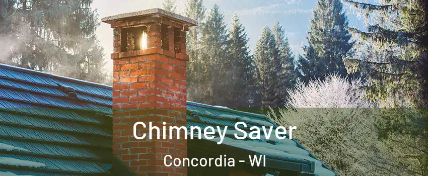 Chimney Saver Concordia - WI