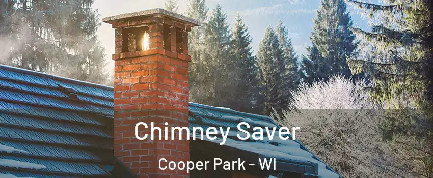 Chimney Saver Cooper Park - WI