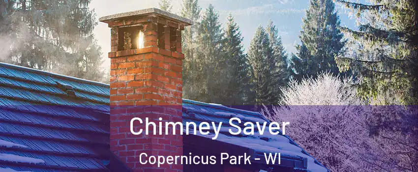 Chimney Saver Copernicus Park - WI