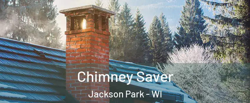 Chimney Saver Jackson Park - WI