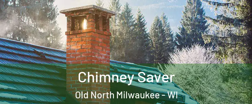 Chimney Saver Old North Milwaukee - WI