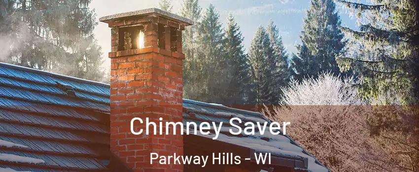 Chimney Saver Parkway Hills - WI