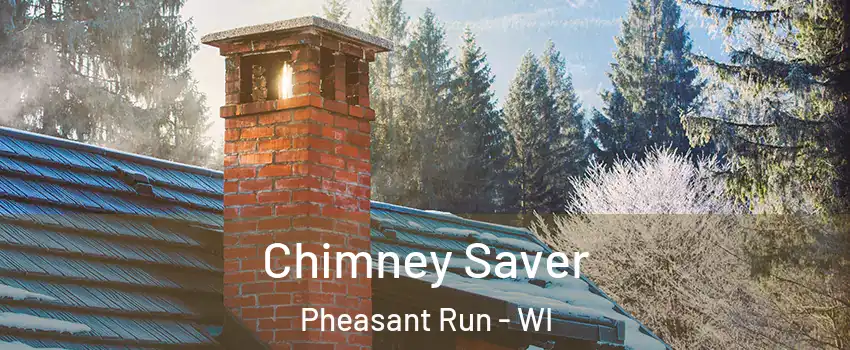 Chimney Saver Pheasant Run - WI