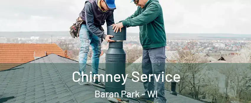 Chimney Service Baran Park - WI