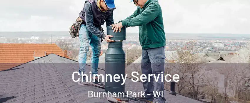 Chimney Service Burnham Park - WI