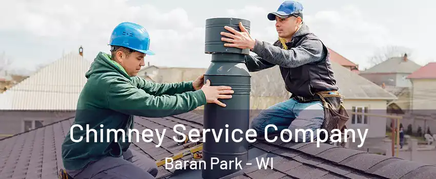 Chimney Service Company Baran Park - WI