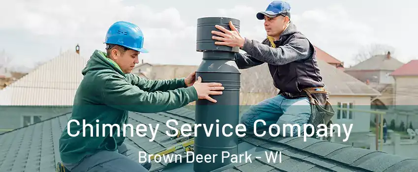 Chimney Service Company Brown Deer Park - WI