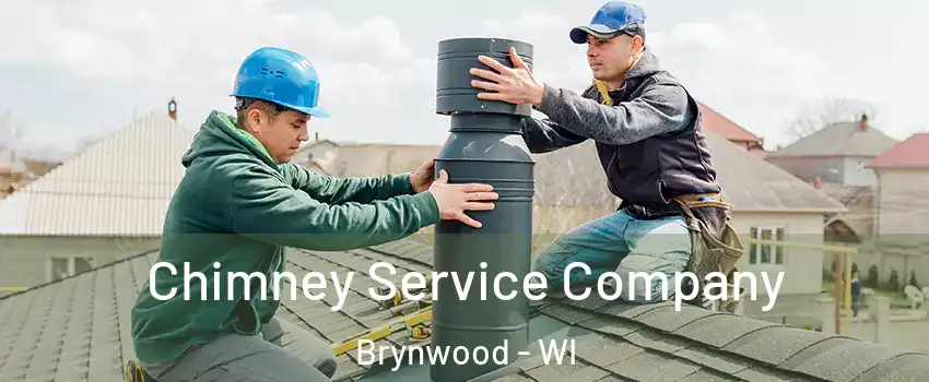 Chimney Service Company Brynwood - WI