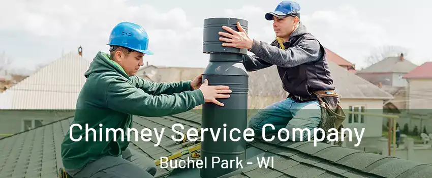 Chimney Service Company Buchel Park - WI