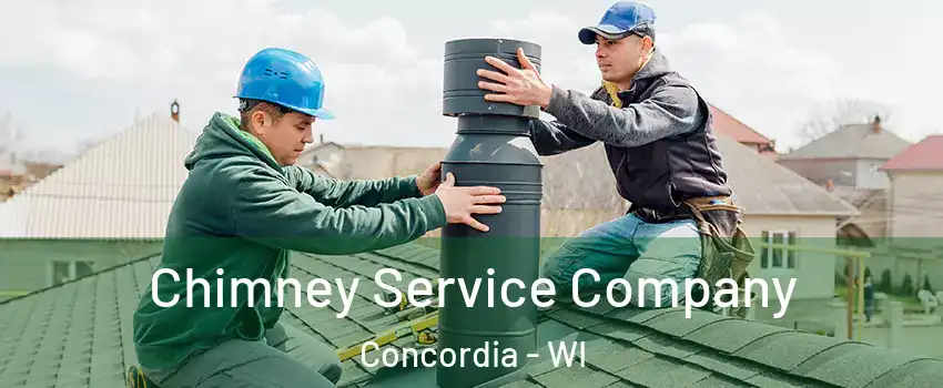 Chimney Service Company Concordia - WI