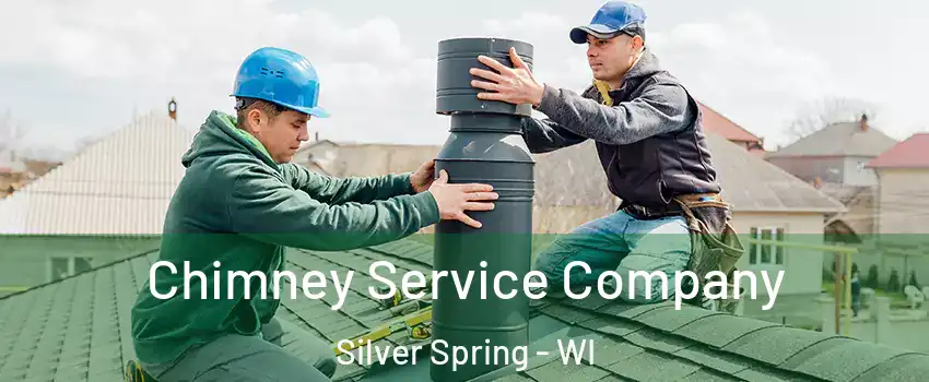 Chimney Service Company Silver Spring - WI