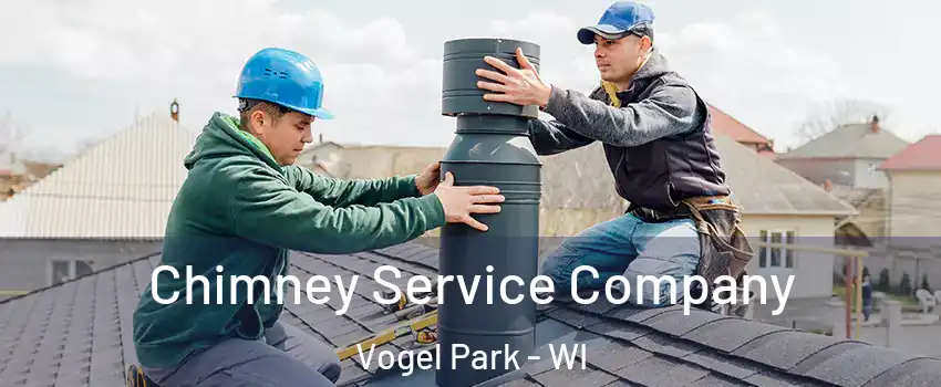 Chimney Service Company Vogel Park - WI