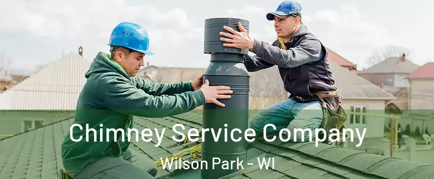 Chimney Service Company Wilson Park - WI