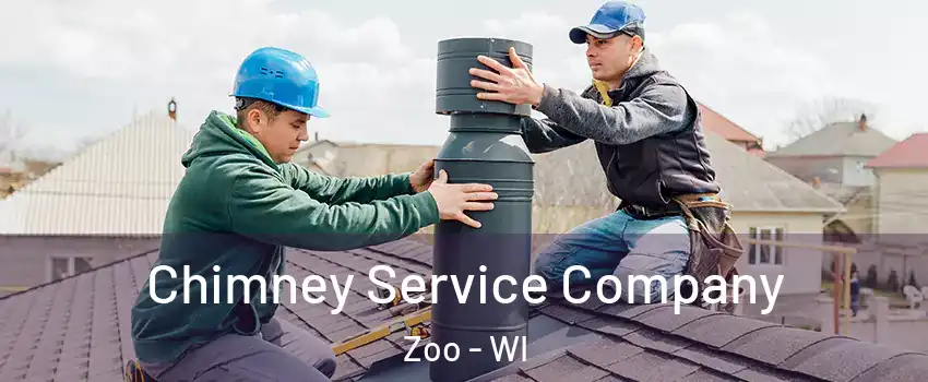 Chimney Service Company Zoo - WI