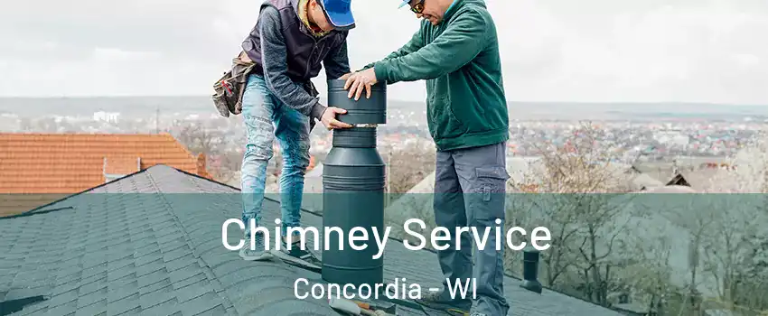 Chimney Service Concordia - WI