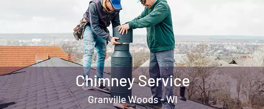 Chimney Service Granville Woods - WI