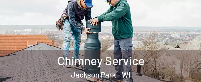 Chimney Service Jackson Park - WI