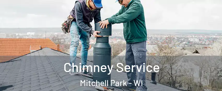 Chimney Service Mitchell Park - WI