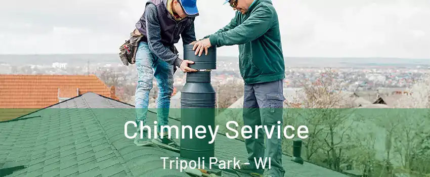 Chimney Service Tripoli Park - WI