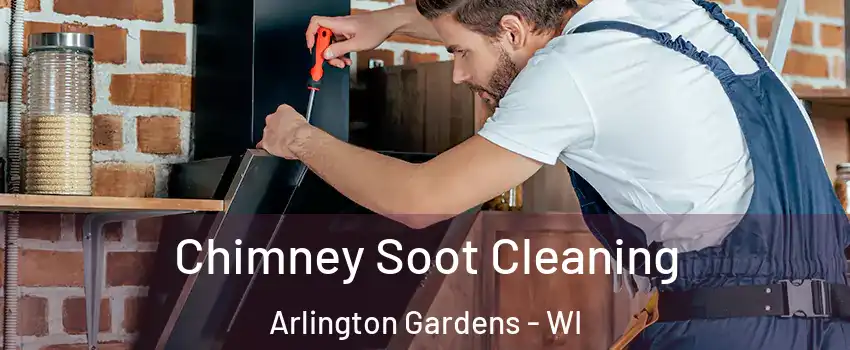 Chimney Soot Cleaning Arlington Gardens - WI