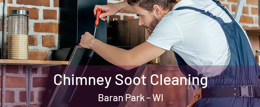 Chimney Soot Cleaning Baran Park - WI