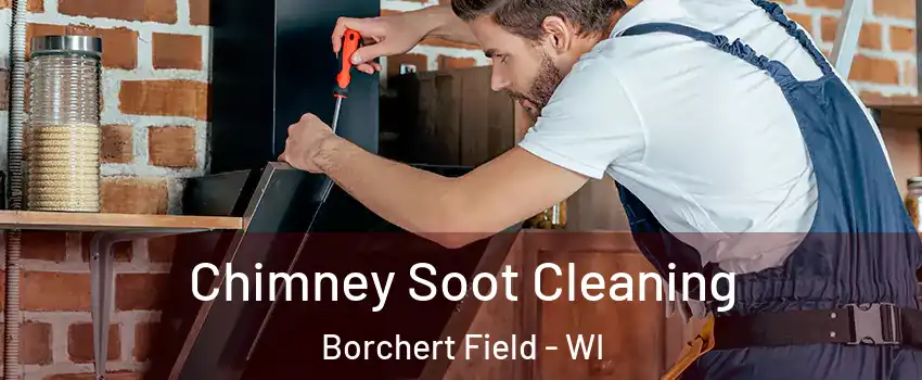 Chimney Soot Cleaning Borchert Field - WI