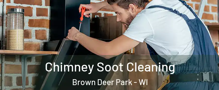 Chimney Soot Cleaning Brown Deer Park - WI