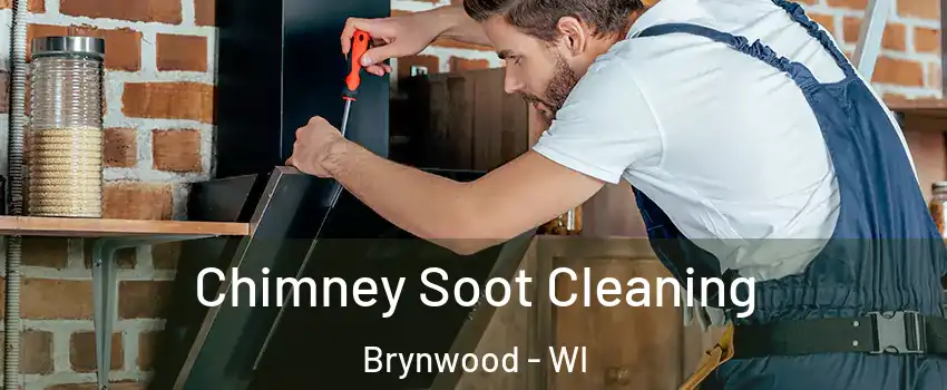 Chimney Soot Cleaning Brynwood - WI