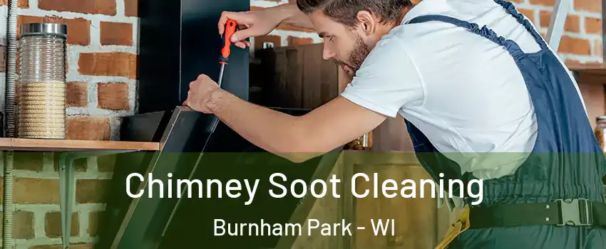 Chimney Soot Cleaning Burnham Park - WI