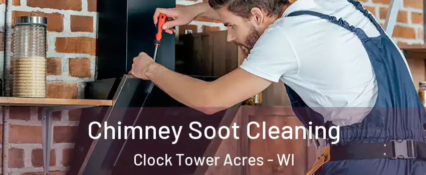 Chimney Soot Cleaning Clock Tower Acres - WI