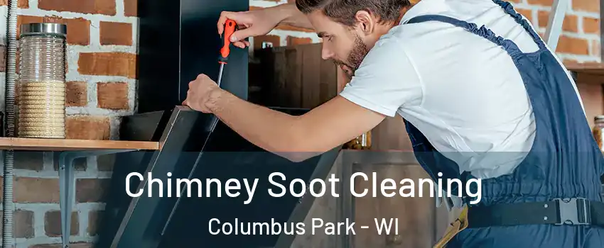 Chimney Soot Cleaning Columbus Park - WI