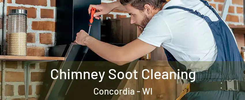 Chimney Soot Cleaning Concordia - WI