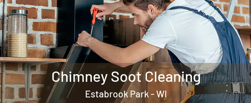 Chimney Soot Cleaning Estabrook Park - WI