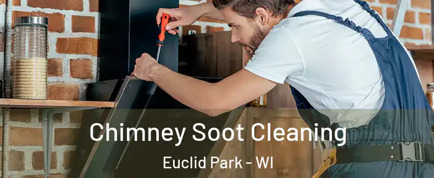 Chimney Soot Cleaning Euclid Park - WI