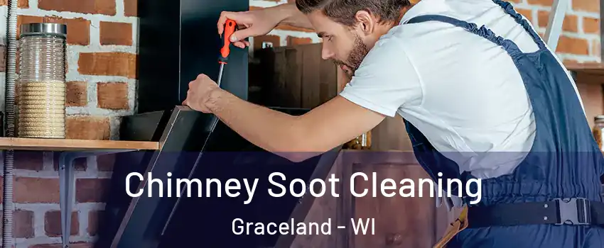 Chimney Soot Cleaning Graceland - WI